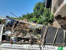 Best Furniture Removal  in Randleman, NC